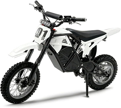Rogue MX-01